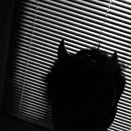 �����, ��������, 30 ���