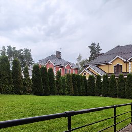 ���� ������, ������, 29 ��� - ��������� 29 ������� 2023