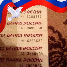 �������, ���������, 51 ���