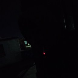 �������, ������, 33 ����