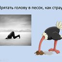 ���� ���������, ������ �������� - ��������� 30 ������� 2023 � ������ ���� ����������