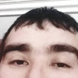 �����, ���������, 40 ���