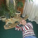 ���� ����, ������, 56 ��� - ��������� 15 ���� 2023