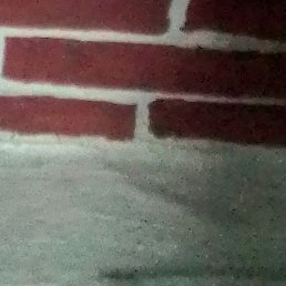 �����, �������, 37 ���