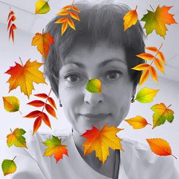 ������, ������ �����, 54 ����