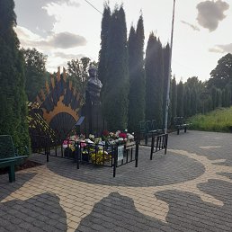  , , 43  -  15  2023