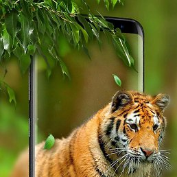 ������, �����, 38 ���