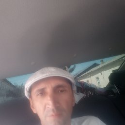 �����, �������, 41 ���