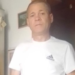 , , 50 
