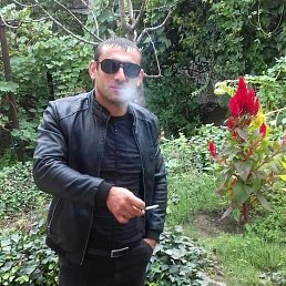 ���� Garo, �����������, 39 ��� - ��������� 15 ����� 2023