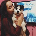 ���� ������, ����, 55 ��� - ��������� 7 ������� 2023 � ������ ���� ����������