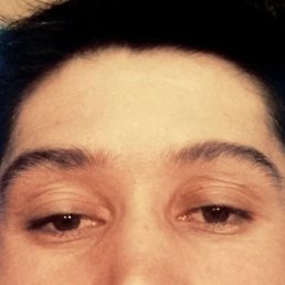 �����, ������, 23 ����