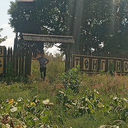 �����, ������, 44 ����