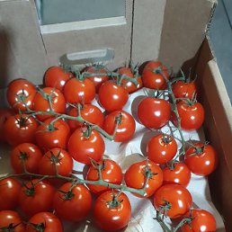 ���� ����, ������, 45 ��� - ��������� 11 ������� 2023