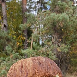 ���� �������, �����, 44 ���� - ��������� 8 ������� 2023