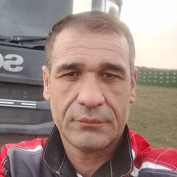 ����, ������, 46 ���