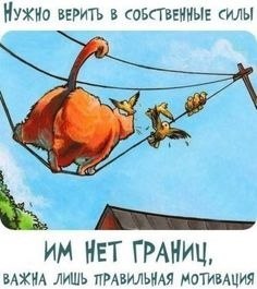 �������� - 5 ���� 2023 � 06:46