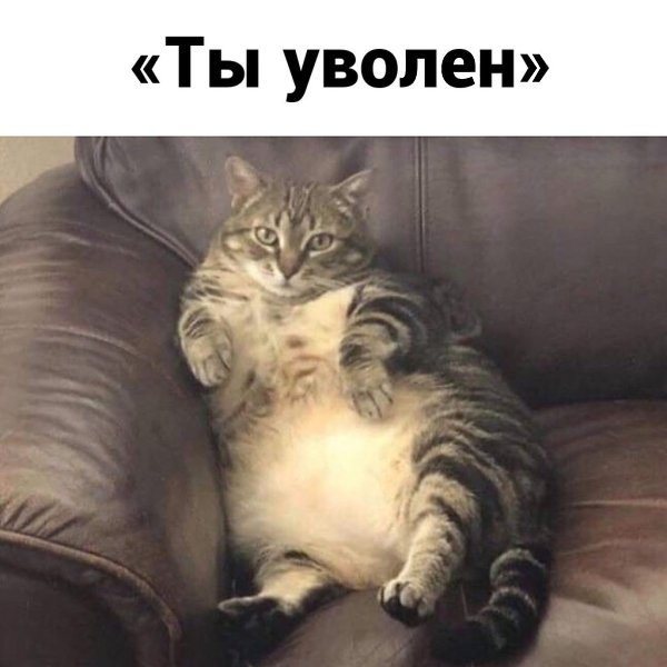    - 4
