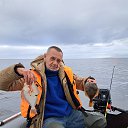 ���� �������), ������������ - ��������� 2 ���� 2023 � ������ ���� ����������