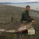 ���� ������, �������, 38 ��� - ��������� 15 ��� 2023 � ������ ���� ����������