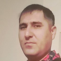 �����, �������, 43 ����