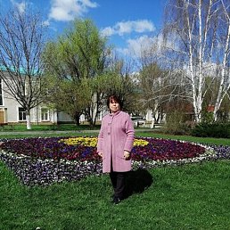 �������, ����, 71 ���