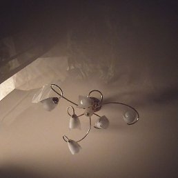 ����, �����������, 46 ���