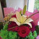 ���� ���� ������������, ������ ����� - ��������� 17 ���� 2023 � ������ ���� ����������