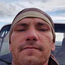 ���������, �����������, 43 ����