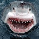 ���� Kjioyh, ������, 32 ���� - ��������� 5 ������ 2023 � ������ ���� ����������