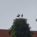 ���� ����, ������, 54 ���� - ��������� 29 ��� 2023