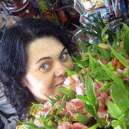 �����, ��������, 52 ����