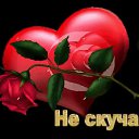 ���� ����, �������, 55 ��� - ��������� 22 ������ 2023