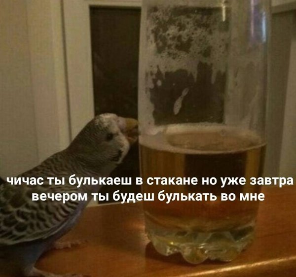    - 8  2023  12:31