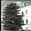 ���� ������, �����, 47 ��� - ��������� 9 ������ 2023 � ������ ���� ����������