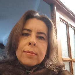 ���� ����, ����������, 49 ��� - ��������� 9 ���� 2023