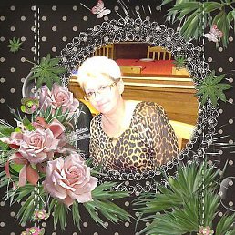 �����, �����������, 66 ���