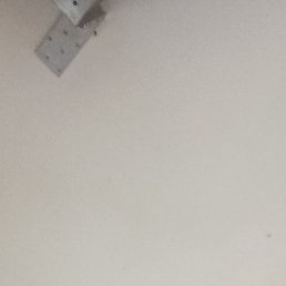 �����, �����-���������, 41 ���