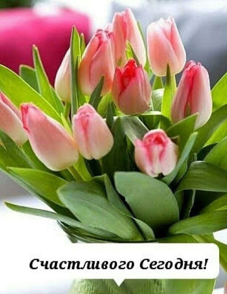   ,    . - 26  2023  17:16