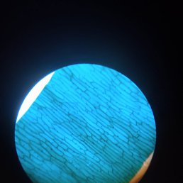 �������, ������, 85 ���