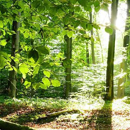 ���� ����, �����������, 39 ��� - ��������� 5 ���� 2023