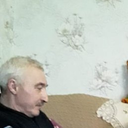 ������, ������, 65 ���