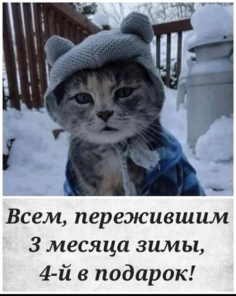   ! - 11  2023  21:41