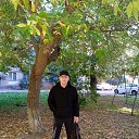 ���� ���, ���������, 66 ��� - ��������� 12 ����� 2023 � ������ ���� ����������