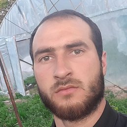 �����, �����������, 25 ���