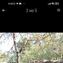 ���� ����, ���������, 68 ��� - ��������� 25 ���� 2023 � ������ ���� ����������