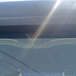 ������, ������, 44 ����