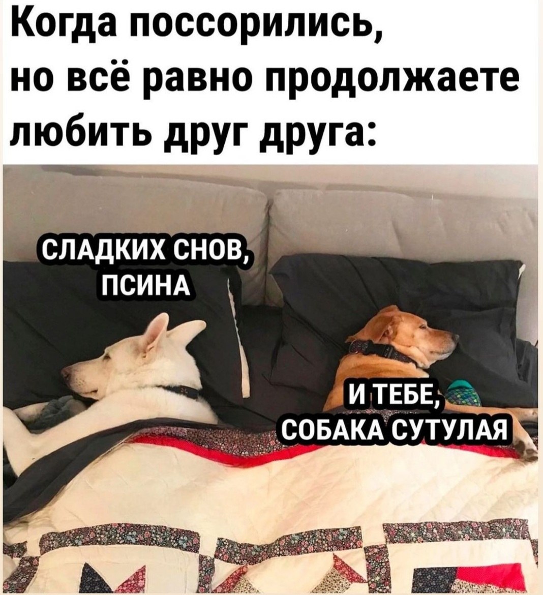  - 17  2023  20:03