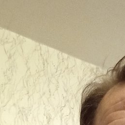 �����, �����-���������, 49 ���