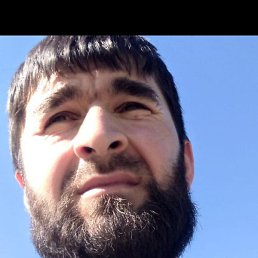 ����, ������, 37 ���